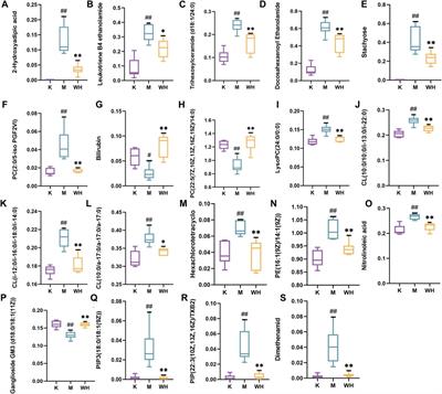 Mechanism of Wuzhuyu decoction on alcohol-induced gastric ulcers using integrated network analysis and metabolomics